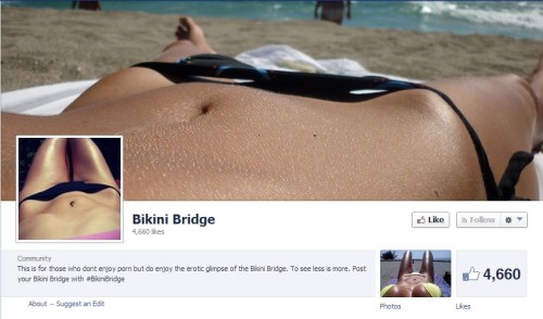 Bikini-Bridge-Facebook